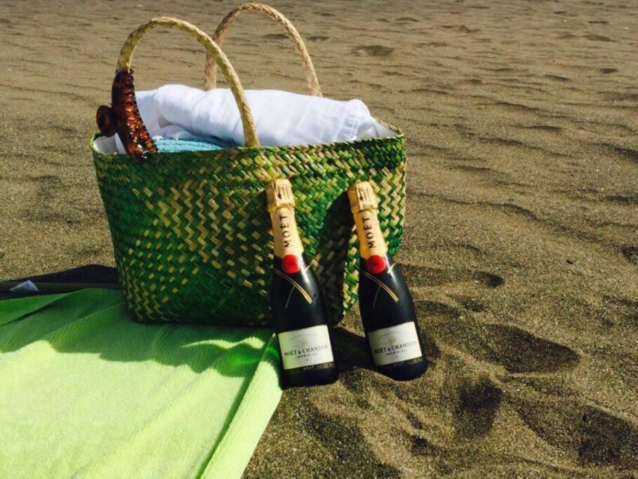 Beach Front Apartment With Stunning Ocean Views! 코스타카르마 외부 사진